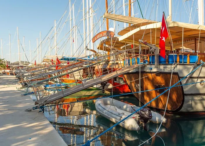 Oda ve Kahvaltı Rayana