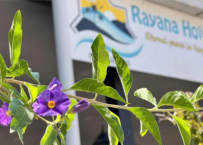 Rayana Oda ve Kahvaltı *