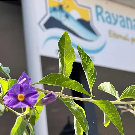 Rayana Bed & Breakfast *